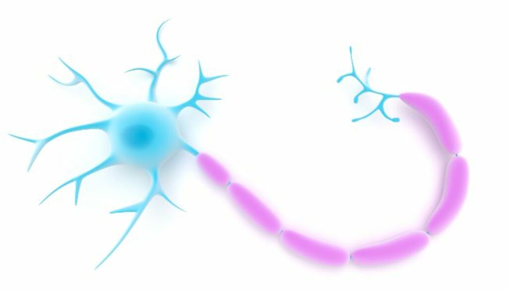 Multiple Sclerosis Symptoms and Treatment