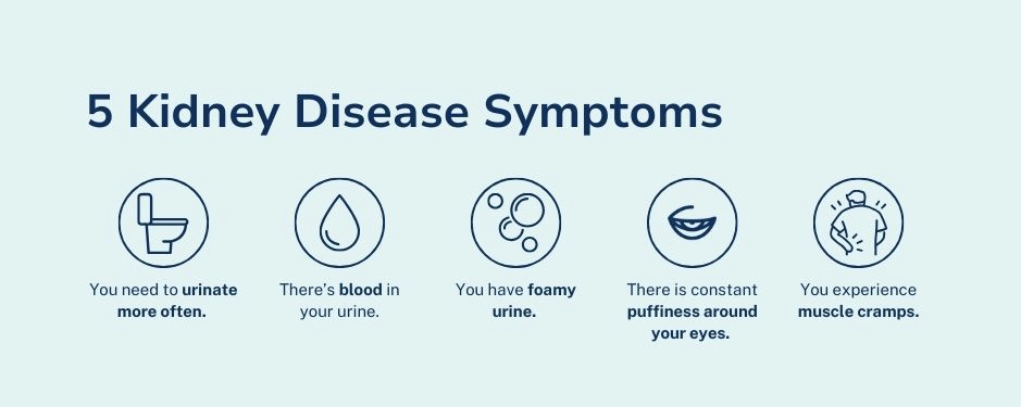 Early symptoms of kidney disease